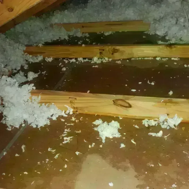 Attic Water Damage in Anna, IL